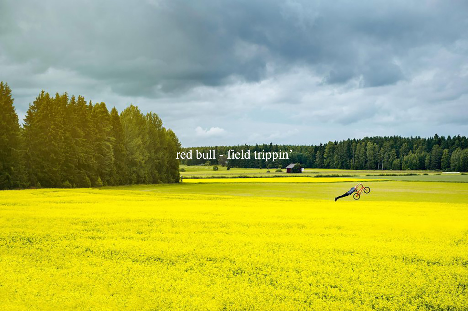 Red Bull – Field trippin’